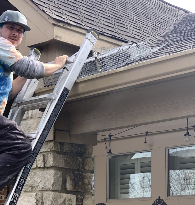 Animal Control Fresno TX - Humane Wildlife Control Animal Control Fresno TX - Humane Wildlife Control