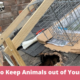 How to Keep Animals out of Your Yard